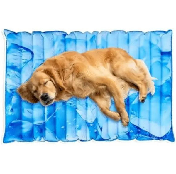 Cooling Gel Pet Mat for Dogs Large Size Water Pad for Summer Sleeping