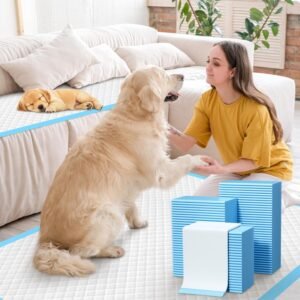 Ultra Absorbent Disposable Dog Pee Pads for Training and Indoor Use