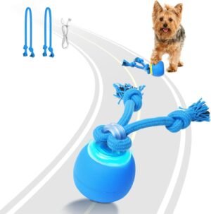Interactive Motion-Activated Dog Toy Ball with LED Light and Chew Rope for Small Pets
