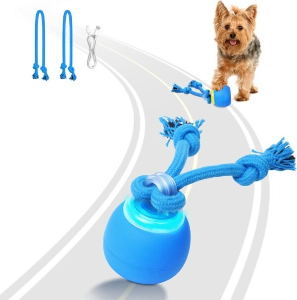 Interactive Motion-Activated Dog Toy Ball with LED Light and Chew Rope for Small Pets