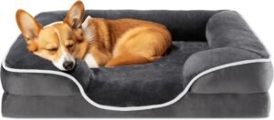 Orthopedic Memory Foam Dog Bed with Bolster Support for Medium Breeds